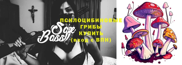 ГАЛЛЮЦИНОГЕННЫЕ ГРИБЫ Нягань