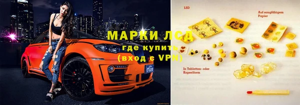 прущие грибы Няндома