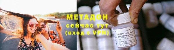 прущие грибы Няндома