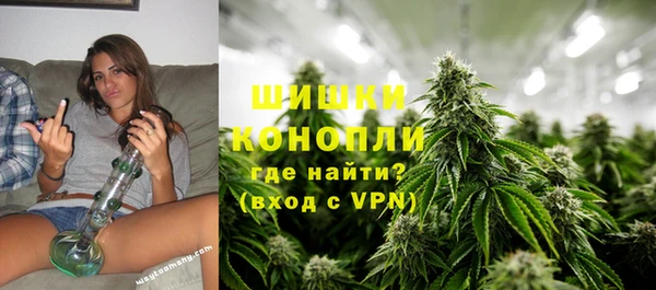 прущие грибы Няндома