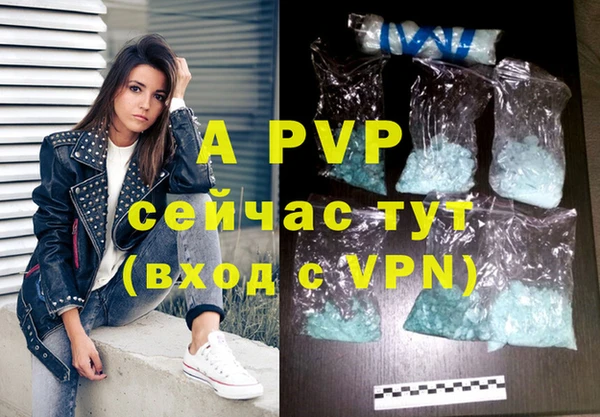 прущие грибы Няндома