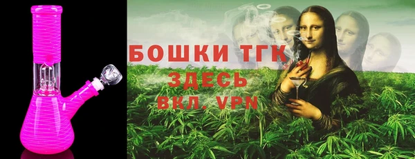 прущие грибы Няндома