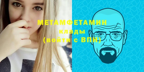 прущие грибы Няндома