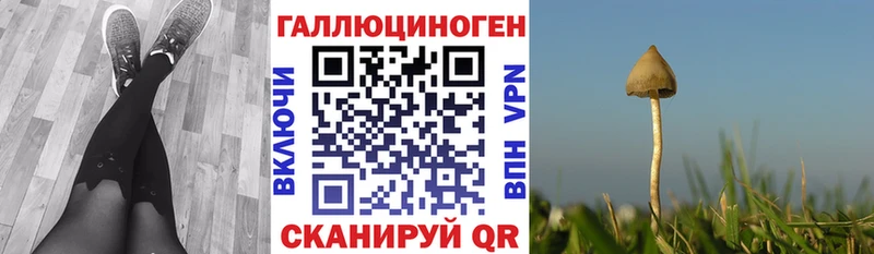 Псилоцибиновые грибы Magic Shrooms  Менделеевск 