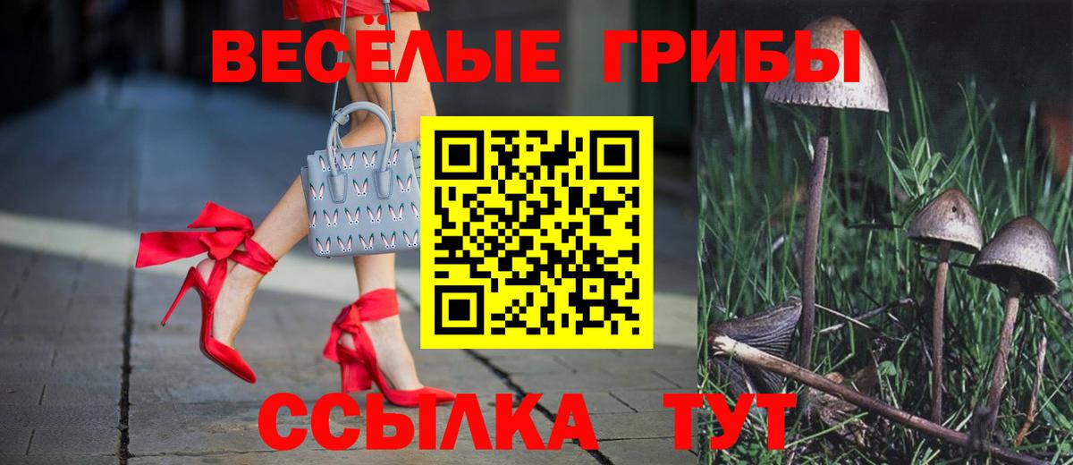 Галлюциногенные грибы GOLDEN TEACHER Менделеевск